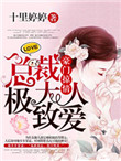 豪门掠情:总裁大人极致爱