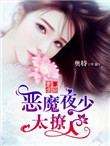 豪门虐爱:恶魔夜少太撩人