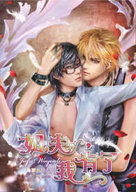 《姐夫,我有了》