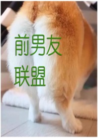 前男友联盟(NP)