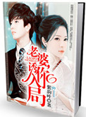 老婆,诱你入局(作者:紫韵叶)