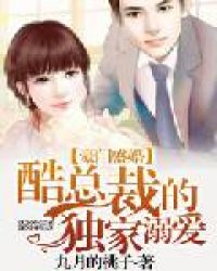 豪门盛婚:酷总裁的独家溺爱