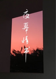 夜幕情书(1v1)