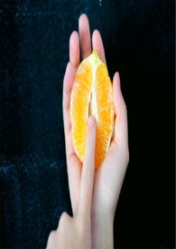 忠犬图卡(此倾向作者的自留地)