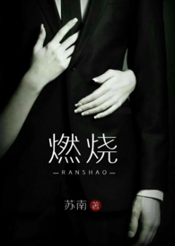 燃烧 (高干 高H)