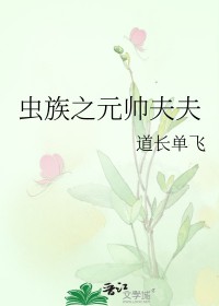 虫族之元帅夫夫